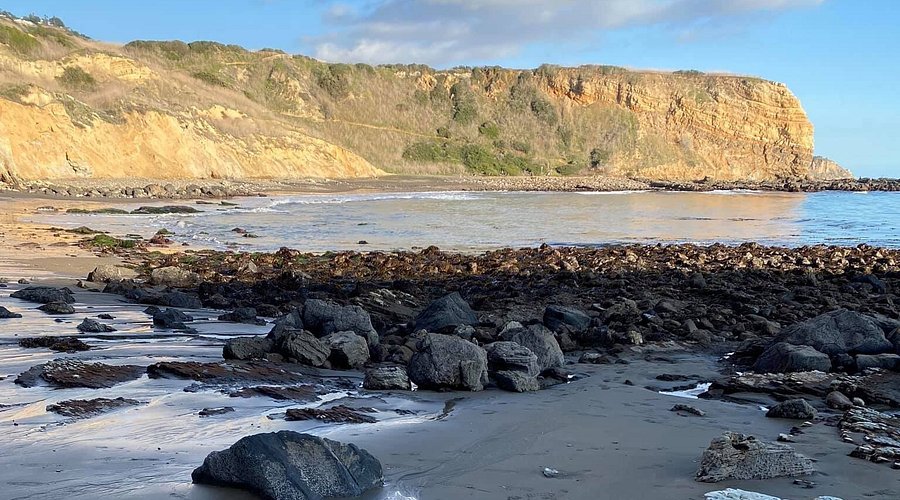 15. Abalone Cove Shoreline Park