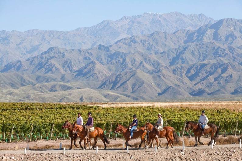 4. Mendoza – Vineyards Framed by the Andes