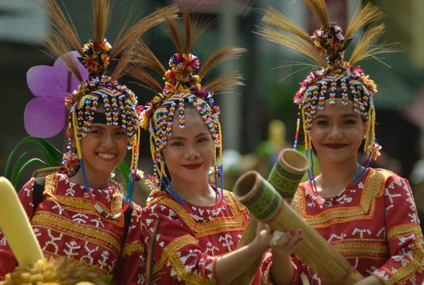 Festivals Purpose Based Travel Category