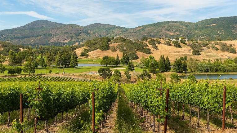 Napa Valley, California – Wine Country Bliss