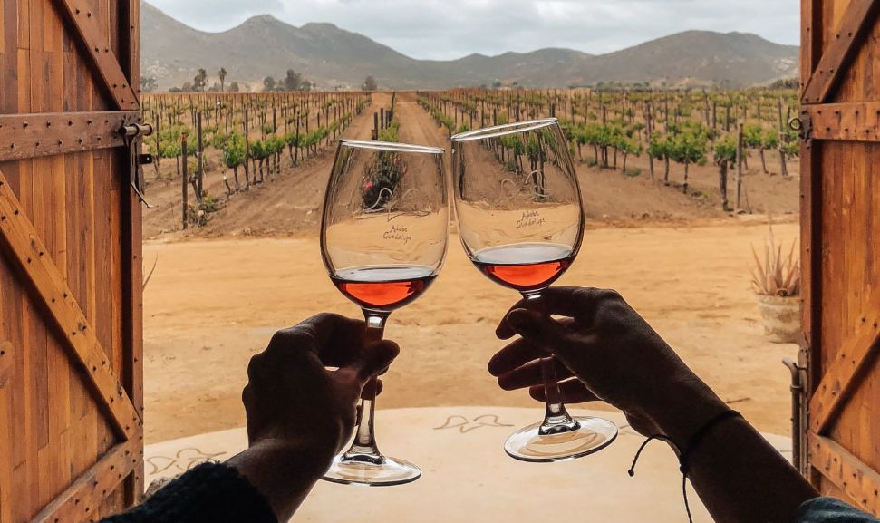 Valle de Guadalupe, Mexico – Mexico’s Wine Country
